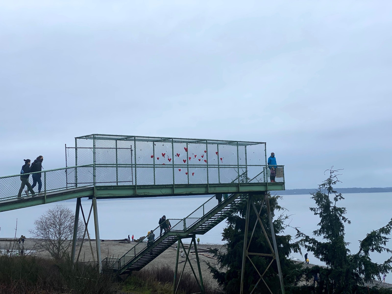 Guerrilla hearts at Carkeek